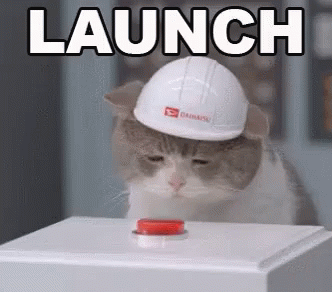 Cat launch